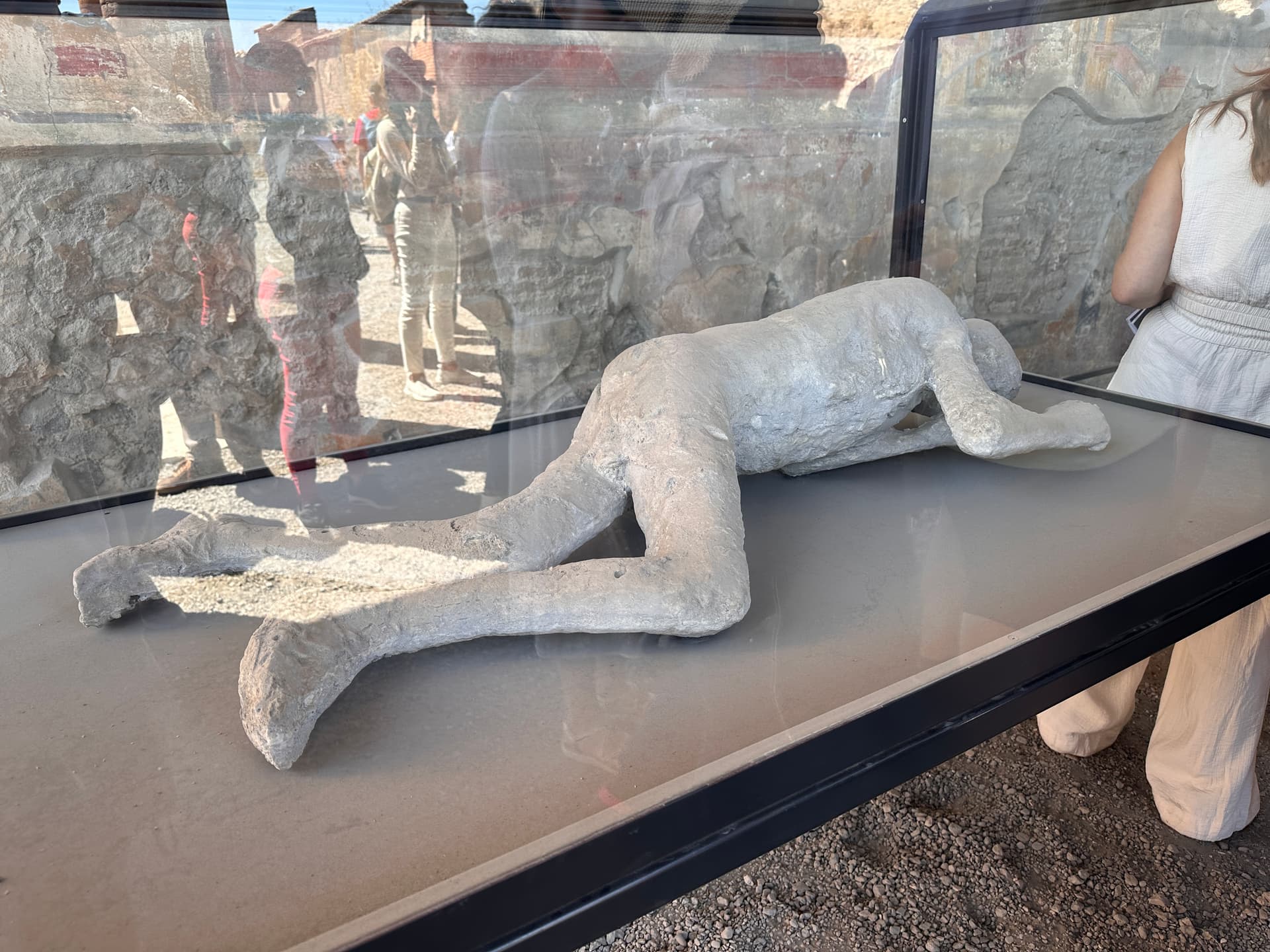 Pompeii Cast