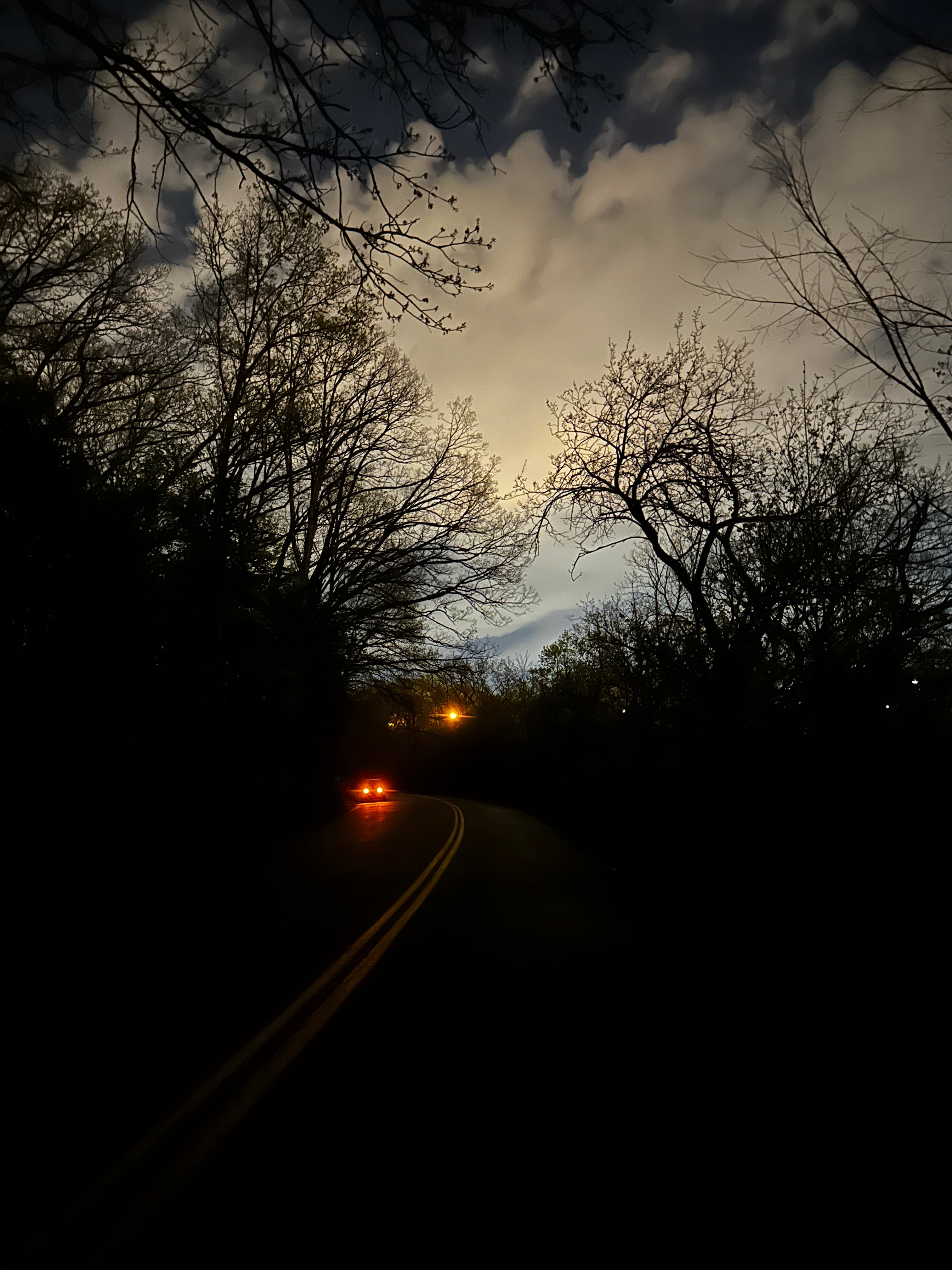 SCHENLEY PARK